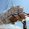 Carga y descarga de arroz vietnamita para exportación. (Foto ilustrativa: VNA)