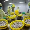 Procesamiento de camarones congelados para exportación en la fábrica del Grupo Minh Phu en la provincia de Hau Giang. Foto: VNA.