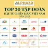 La compañía Vietnam Report presentó oficialmente el primer ranking ALPHA30 (Fuente: VNA)