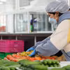 Las frutas y verduras son productos de exportación de alto valor para la provincia de Lam Dong, con un valor estimado de 30,42 millones de USD en el primer trimestre de 2026. Foto: VNA
