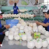 La industria del coco de Vietnam se encuentra ante una gran oportunidad de crecimiento, ya que se prevé que el valor de sus exportaciones en 2025 alcance entre 1,1 y 1,15 mil millones de USD (Fuente: VNA)