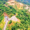 Desarrollo forestal en la comuna de Phan Son, provincia de Lam Dong. (Foto: nhandan.vn)