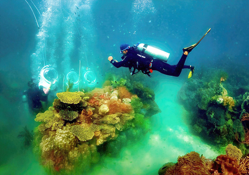 La colorida belleza de las especies de coral y los bancos de peces en el agua del parque de coral Seaworld. (Fuente: VNA)