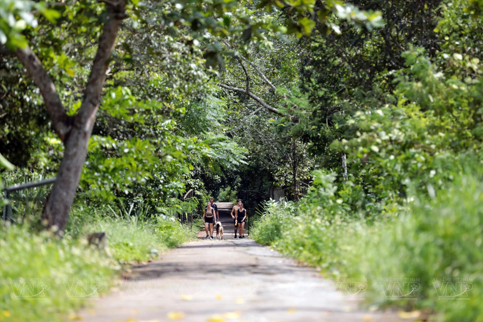 Desde la carretera que cruza el mar, habrá pequeños senderos que ayudarán a los visitantes a caminar a través de bosques sombreados. (Fuente: VNA)