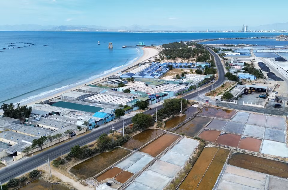 La ruta DT702, que pasa por el distrito de Ninh Hai, juega un papel importante en las conexiones de tráfico, el transporte de mercancías y el desarrollo turístico. (Fuente:VNA)
