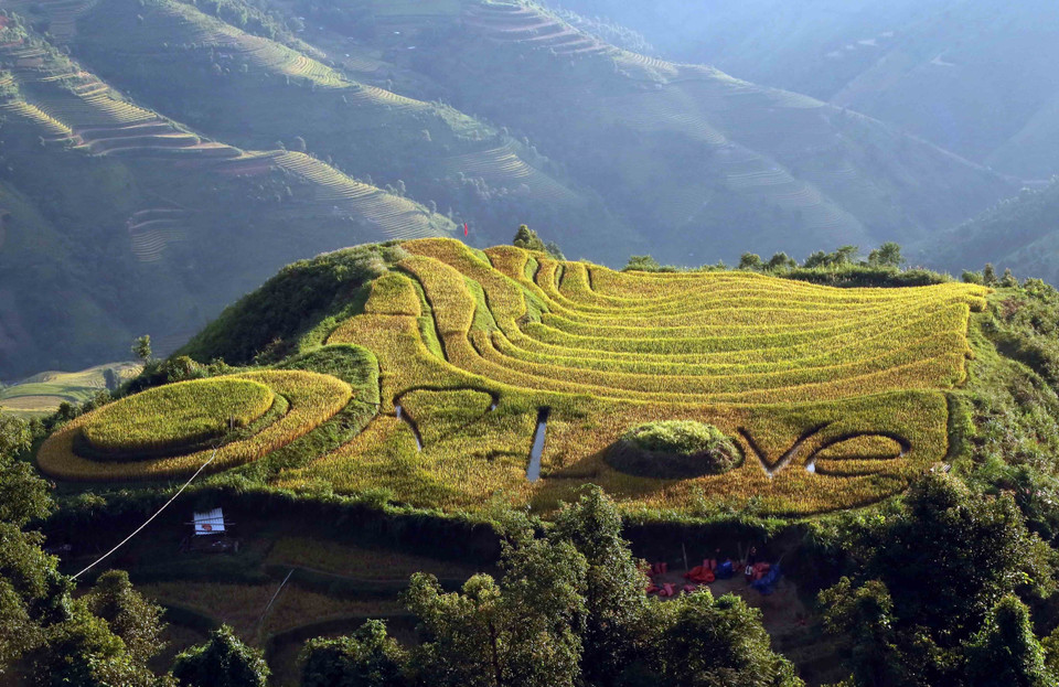 Muchas familias de la etnia Mong en la comuna de Xim Vang, distrito de Bac Yen, han creado diseños en los campos de arroz para atraer turistas. (Foto:VNA)
