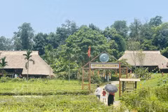 El espacio del pueblo Muong, ubicado en el complejo del “Aldea de Cultura y Turismo de las Etnias de Vietnam”, se ha convertido en uno de los más apreciados por visitantes y turistas. (Foto: VNA)