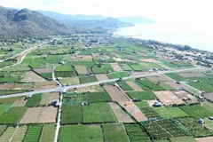 El proyecto de la planta de energía nuclear Ninh Thuan 2 se construirá en la aldea de Thai An, comuna de Vinh Hai, distrito de Ninh Hai. (Foto: VNA)