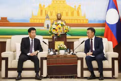 El vicecanciller vietnamita Nguyen Manh Cuong (izquierda) y el jefe interino de la Comisión de Relaciones Exteriores del Comité Central del Partido Popular Revolucionario de Laos, Bounlua Phandanouvong. (Foto: VNA)