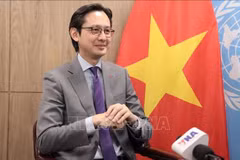 Embajador Do Hung Viet, jefe de la misión permanente de Vietnam ante las Naciones Unidas en una entrevista concedida a corresponsales de la Agencia Vietnamita de Noticias en Nueva York (Foto: VNA)