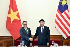 El viceministro de Relaciones Exteriores Nguyen Manh Cuong y el subsecretario general del Ministerio de Relaciones Exteriores de Malasia, Dato' Ahmad Rozian Abd Ghani, copresidieron el 3.er Diálogo Estratégico de Altos Funcionarios (Foto: Quang Hoa)