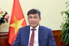 El viceministro permanente de Relaciones Exteriores, Nguyen Minh Vu. (Foto: VNA)