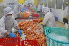 Standard Chartered pronostica un crecimiento económico positivo para Vietnam. (Foto: Vietnam+) 