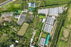 El auge del agroturismo en Vietnam: una apuesta por el desarrollo sostenible