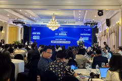 El seminario atrajo a más de 250 delegados de empresas de viajes, hotelería y transporte. (Foto: Khanh Ly/Vietnam+)