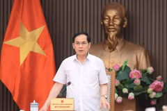 El vicepremier y canciller vietnamita, Bui Thanh Son, habla en el evento (Foto: VNA)