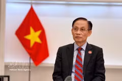 El miembro del Buró Político y canciller Le Hoai Trung. (Foto: VNA)