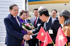 Funcionarios y personal de la Embajada, junto con la comunidad vietnamita en Suiza, reciben al presidente de la Asamblea Nacional, Tran Thanh Man, y a su esposa en el aeropuerto internacional de Ginebra. (Foto: VNA) 