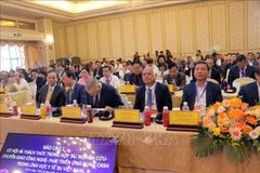 Delegados en el seminario. (Foto: VNA)
