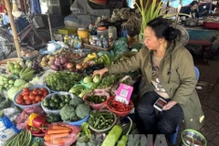 Precios de las verduras en Hanoi aumenta ante la escasez de suministros. (Foto: VNA)