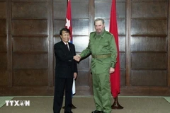La reunión entre el presidente de Vietnam, Tran Duc Luong y el Comandante en Jefe Fidel Castro en abril de 2000 (Foto: VNA)