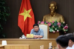 El viceprimer ministro Nguyen Chi Dung habla en la reunión (Foto: VNA)