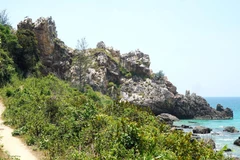 Cabo Vi Rong, belleza salvaje y misteriosa en provincia vietnamita de Binh Dinh