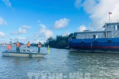 Las autoridades piden a los barcos que atraquen en tierra para refugiarse de la tormenta Fengshe. (Foto: VNA)