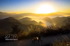 Vista del amanecer en el paso de Keo Lom, en la provincia de Dien Bien, que ofrece un paisaje de gran belleza escénica. (Foto: VNA)