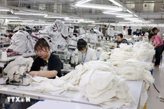 El Banco Mundial incluye a Vietnam entre las 21 economías con un desempeño sobresaliente en 2025. (Foto ilustrada: VNA) 