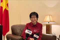 La embajadora Ton Thi Ngoc Huong, jefa de la delegación permanente de Vietnam ante la ASEAN (Foto: VNA)