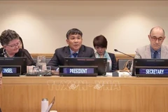 El vicecanciller Pham Minh Vu preside la reunión. (Foto: VNA)