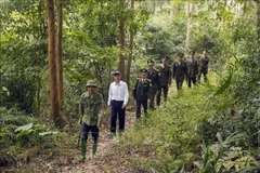 Los guardabosques provinciales se coordinan con los guardabosques locales y la gente del distrito de Lap Thach para patrullar, controlar y proteger los bosques. (Foto: VNA)