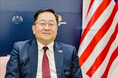 El embajador de Malasia en Vietnam, Dato' Tan Yang Thai, concede una entrevista a la prensa. (Foto: VNA)