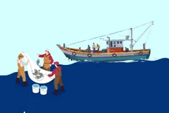 Medidas urgentes para subsanar deficiencias en lucha contra pesca ilegal