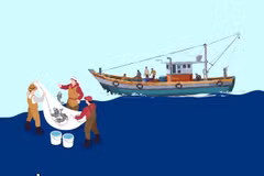 Medidas urgentes para subsanar deficiencias en lucha contra pesca ilegal