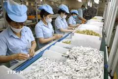 Fabricación de electrodomésticos en la fábrica de Panasonic Life Solutions Vietnam, ubicada en el Parque Industrial Vietnam-Singapur (VSIP) en la antigua provincia de Binh Duong, actual Ciudad Ho Chi Minh. (Foto ilustrativa: VNA)