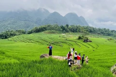 La zona turística comunitaria de Pu Luong (Thanh Hoa) atrae a turistas nacionales e internacionales. (Foto: VNA)