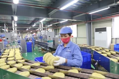 Operación de una línea de producción de fideos de alta gama en la empresa Padol Vina Company Limited. Foto: baophutho
