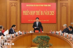 El presidente Luong Cuong dirige la tercera reunión del Comité Directivo Central para la Reforma Judicial. (Foto: VNA)