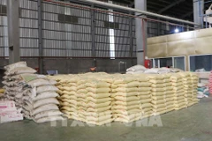 La ciudad de Can Tho cuenta con unas 390.000 hectáreas de producción arrocera, con una producción de unos 3 millones de toneladas. (Foto: VNA)