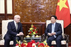 El presidente de Vietnam, Luong Cuong, recibe al embajador de Finlandia, Keijo Norvanto. (Foto: VNA)