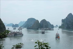 La había de Ha Long. (Foto: VNA)