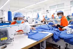 Confección de prendas de vestir para exportación al mercado japonés en la empresa Hung Viet Garment, en la provincia de Hung Yen. (Foto: VNA)