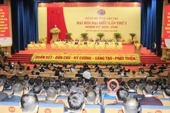 Panorama del evento (Foto: VNA)