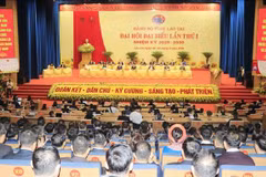 Panorama del evento (Foto: VNA)