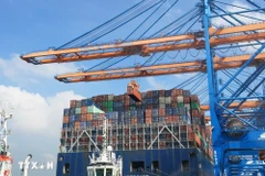 Descarga de contenedores en barcos en el Puerto Internacional Gemalink, ciudad de Phu My, provincia de Ba Ria-Vung Tau. (Foto: Hong Dat/VNA)