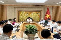 El viceprimer ministro Nguyen Chi Dung habla en la reunión. (Foto: VNA)
