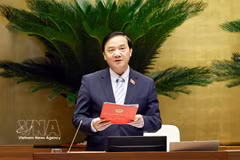 El vicepresidente de la Asamblea Nacional, Nguyen Khac Dinh, interviene en la sesión. Foto: VNA