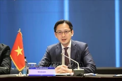 el embajador Do Hung Viet, representante permanente de Vietnam ante la ONU. (Foto: VNA)